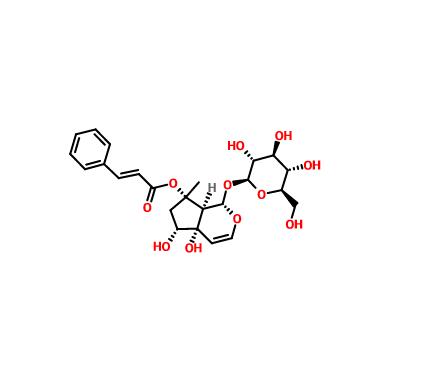 哈巴俄苷|19210-12-9 Harpagoside
