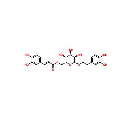 木通苯乙醇苷B|105471-98-5