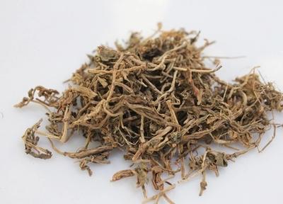 垂盆草 Sedi Herba