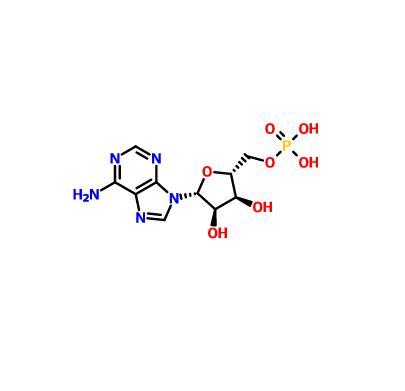 5’-腺苷酸|61-19-8