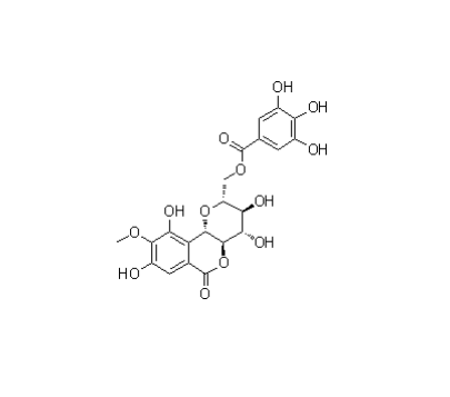 11-O-沒食子酰巖白菜素|82958-44-9