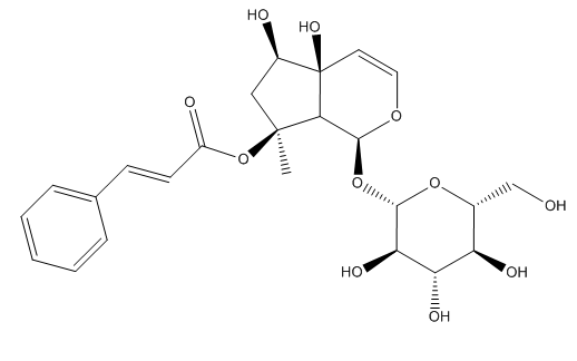 普菲德專(zhuān)題產(chǎn)品推薦-玄參系列