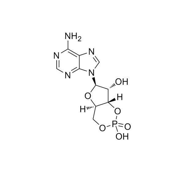 環(huán)磷腺苷|60-92-4