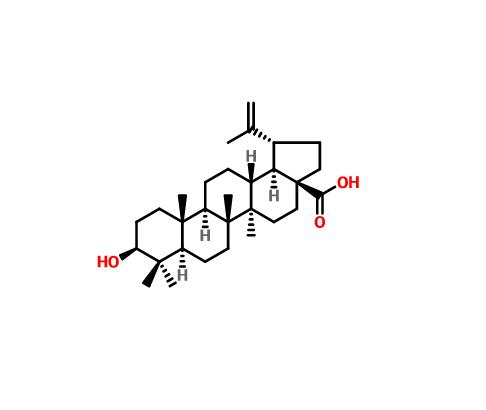 白樺脂酸 472-15-1 Betulinic acid